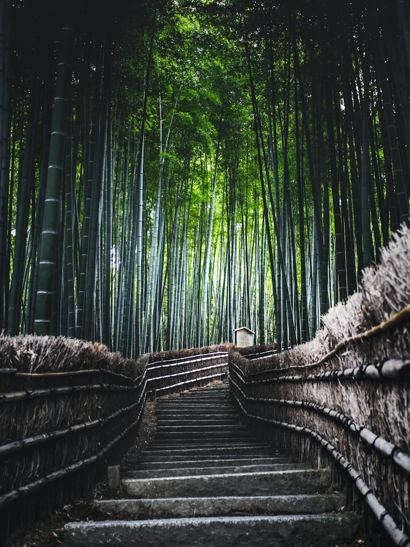 Shikoku onsen hot springs
